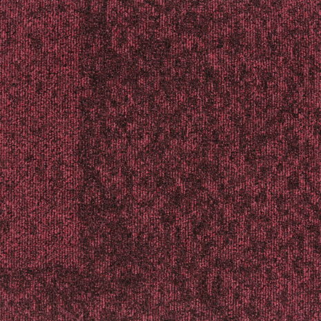 rainfall-22911-bloom rainfall-22911-bloom